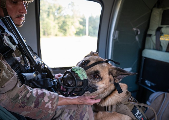 A military working dog team from the 180th Military Working Dog detachment waits for the Black Hawk helicopter to take-off during a five-day field training exercise on Fort Leonard Wood.