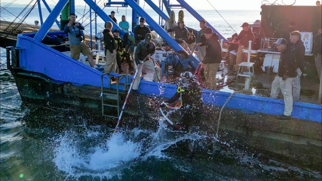 US Army deep sea divers retrieve derelict fishing nets in partnership with Washington Dept. of Natural Resources