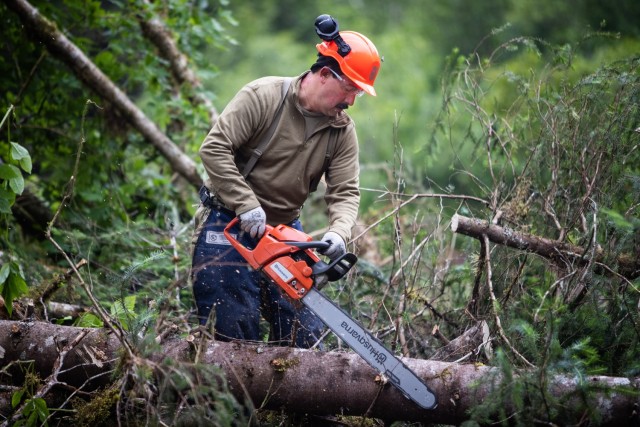 Alaska Air National Guard Tech. Sgt. Robert Neff, an engineering craftsman from the 176th Civil Engineer Squadron, cuts a tree as part of an Innovative Readiness Training project at Shepard Point near Cordova, Alaska, July 26, 2023. Twelve 176th Wing Guardsmen are clearing a 5.5-acre site for the Shepard Point Marine Tribal Transportation Oil Spill & Marine Casualty Response Facility. (Alaska National Guard photo by Robert DeBerry)