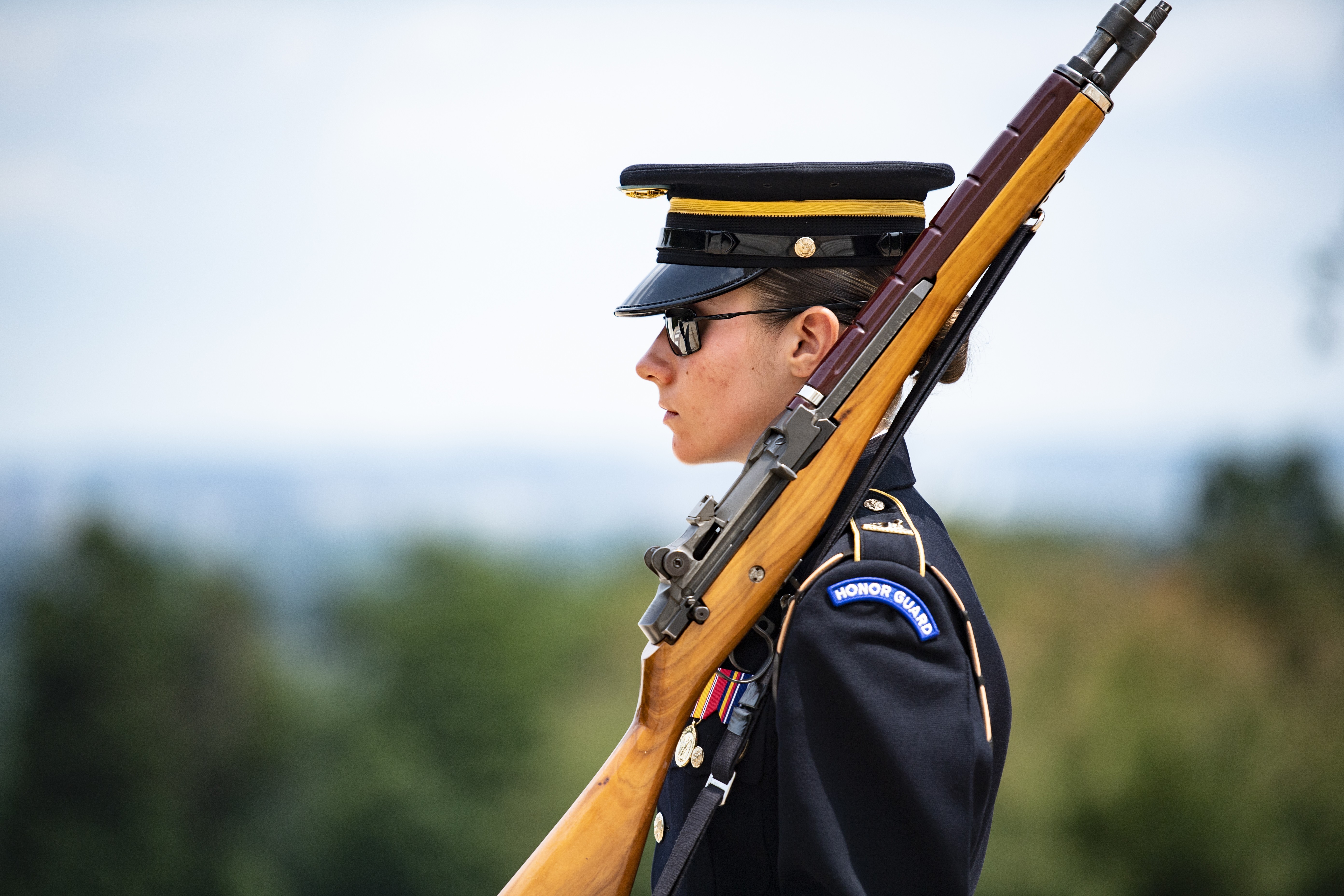 Guarding the Tomb of the Unknown Soldier, Article