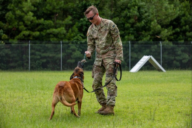 Gino, A True Dogface Soldier