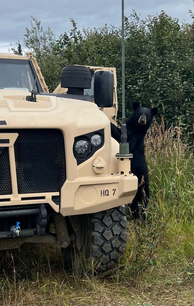 70th BEB Kodiaks meet black bear brothers during field training