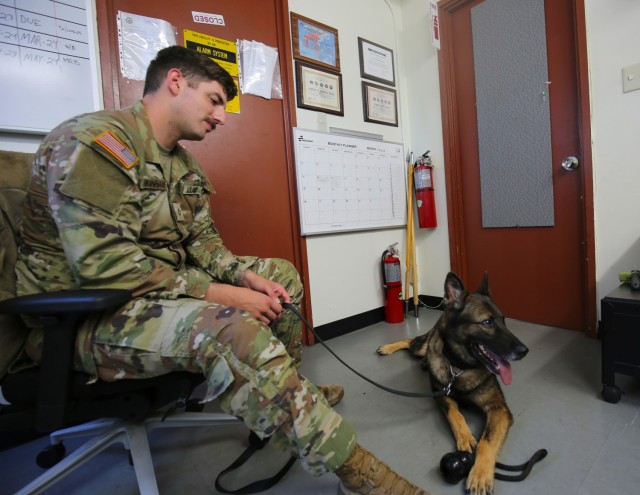 Pfc. Anthony Branham, left, assigned to 901st Military Police Detachment, plays with Eris, a former military working dog, at the military K-9 kennel on Camp Zama, Japan, Aug. 25, 2023.
