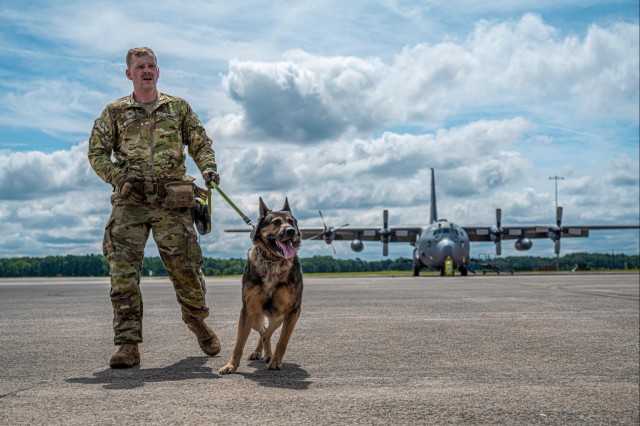 928th MWD detachment, 103rd AW conduct joint working dog training