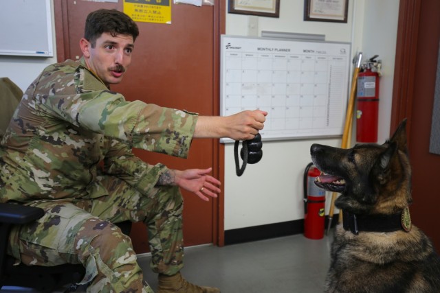 Pfc. Anthony Branham, left, assigned to 901st Military Police Detachment, plays with Eris, a former military working dog, at the military K-9 kennel on Camp Zama, Japan, Aug. 25, 2023.