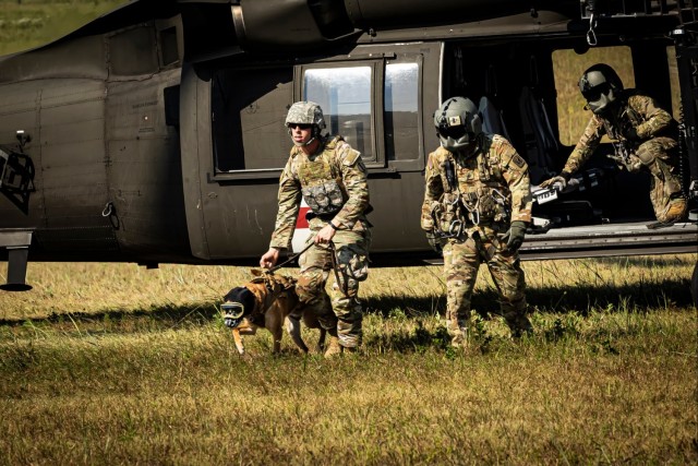 Gregg-Adams hosts inaugural Military Working Dog exercise