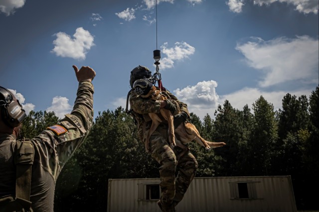 Gregg-Adams hosts inaugural Military Working Dog exercise