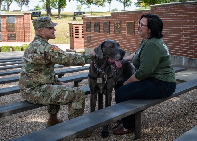 Six-year-old Great Dane Maverick is the 2023 American Humane Hero Dog Awards therapy dog of the year for his help comforting service members and their families through Fort Leonard Wood’s USO.