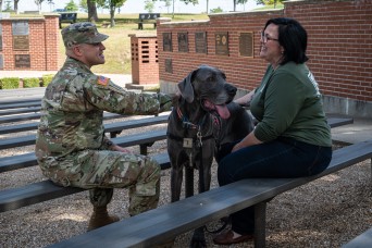 Fort Leonard Wood USO therapy dog wins Hero Dog Award