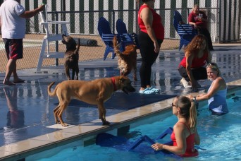 Dog day afternoon closes pool season