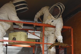 JBLM honeybee hobbyist brings new home to bees, new hope to veterans