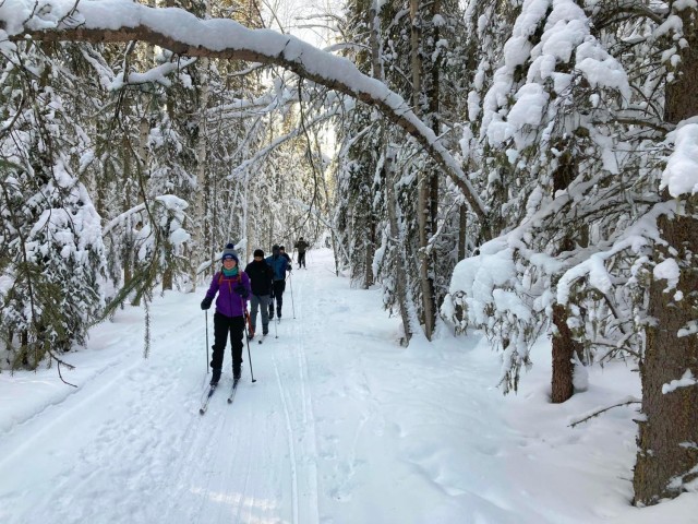 Fort Wainwright BOSS members traverse through the Alaskan forest during a cross country skiing trip at Rosie Creek Farm in Fairbanks.  