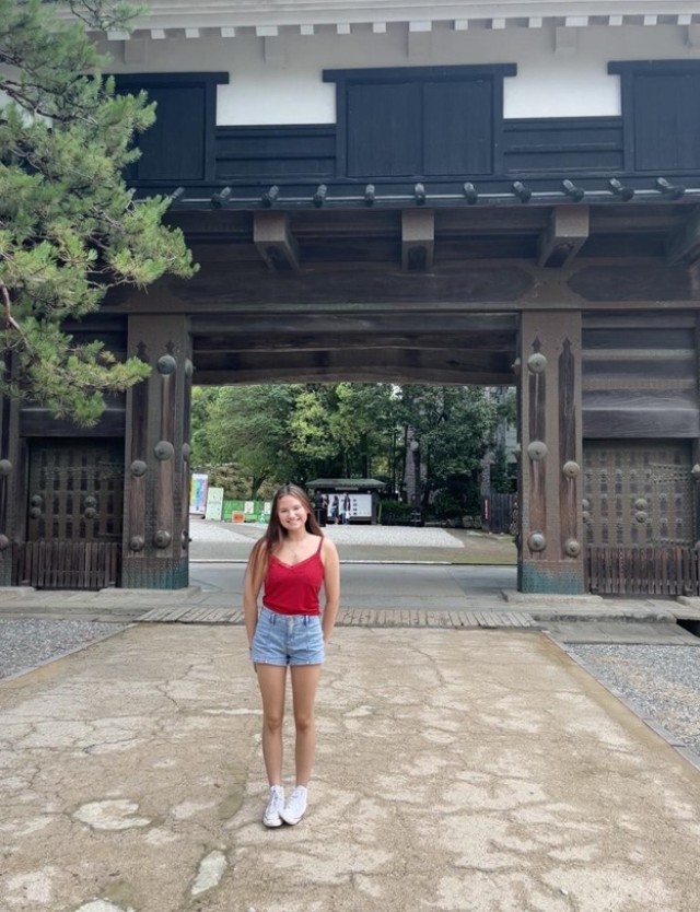 Carr at the entrance for Kochi castle