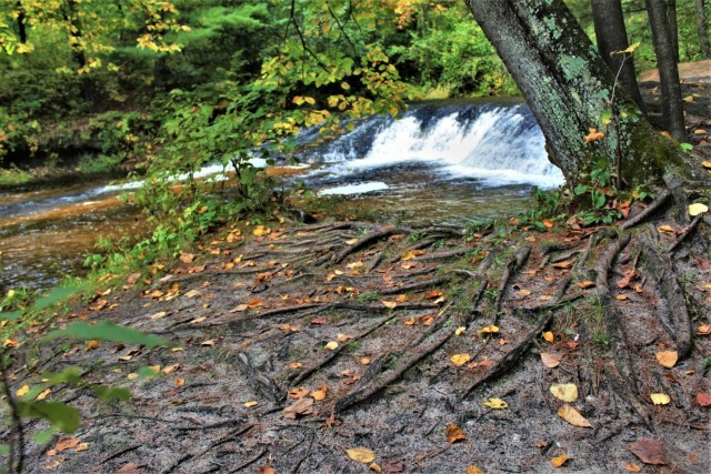 Enjoy fall at Fort McCoy’s Pine View Campground