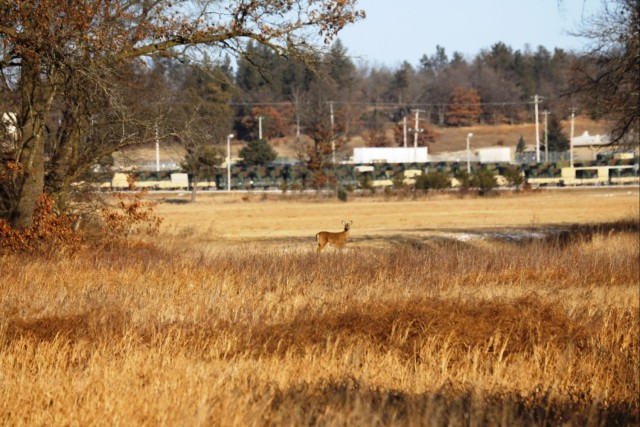 2023 archery deer season underway; Fort McCoy hunters must make sure to have necessary permits, licenses