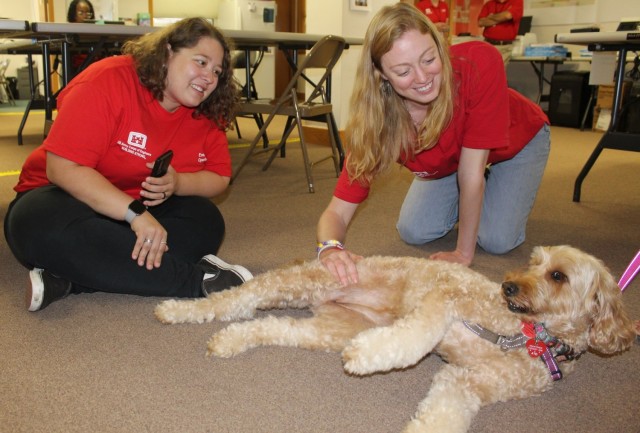 Therapy dogs visit Hawaii Wildfire Recovery Field Office in Kihei, Hawai‘i