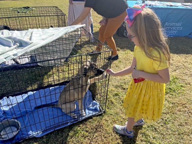 The Animal and Human Violence Connection Event