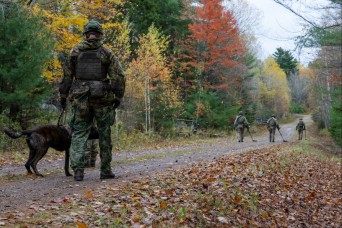 US Army EOD technicians train with allies during Exercise Ardent Defender