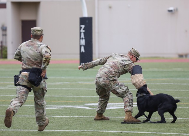 Sgt. Bruno Werneck, left, and Spc. Carter Hanson, both military working dog handlers assigned to the 901st Military Working Dog Detachment, demonstrate how one of their dogs, Lock, can apprehend a suspect during a Red Ribbon Week event at Camp...