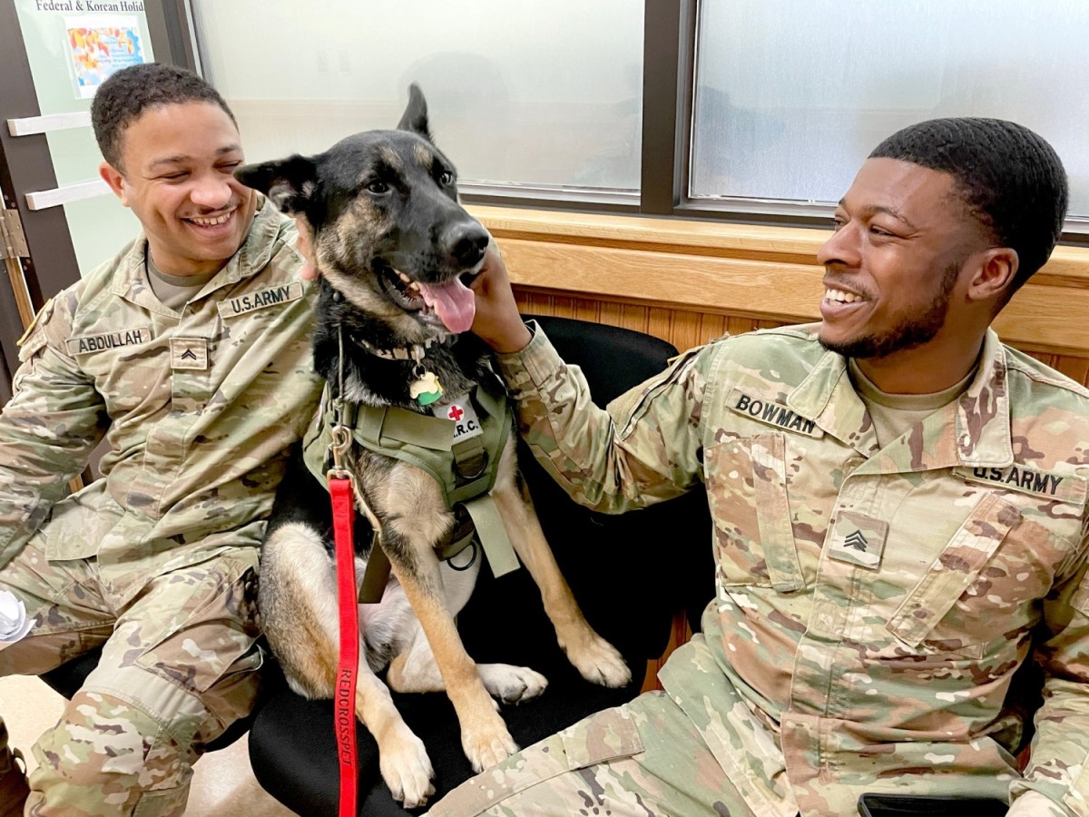 Red Cross lets the dogs out | Article | The United States Army