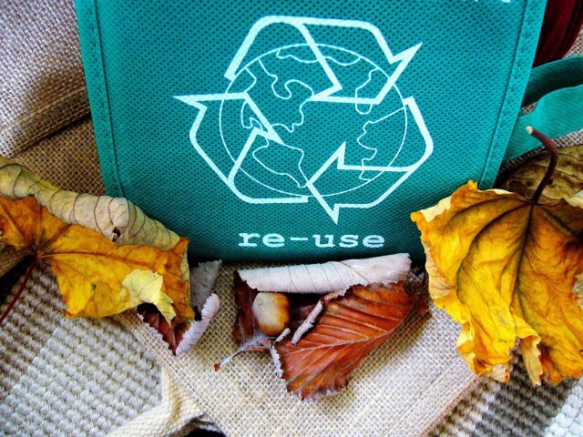 A green reusable bag surrounded by leaves with the reduce, reuse, recycle logo on it. 