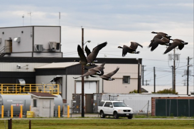 Keeping people and birds safe in the air is interagency effort