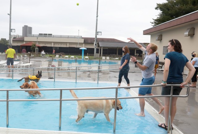 Community members and their dogs participate in a Doggie Dip Day event at Sagamihara Family Housing Area, Japan, Sept. 25, 2021. The Housing Office is currently looking to form a committee to gather resident input on a new policy that may allow pets in the housing towers.