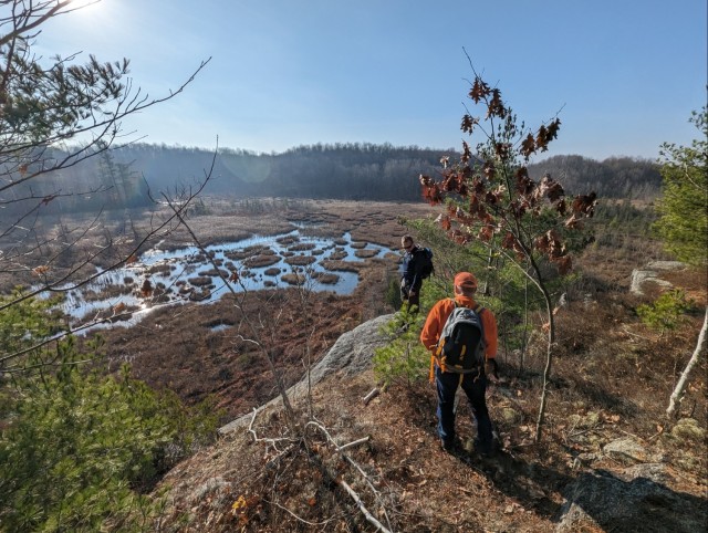 Retired Army veteran shares a beagle adventure with Fort Drum foresters