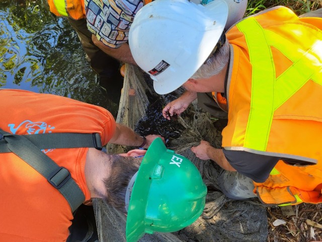 Mountlake Terrace Aquatic Ecosystem Restoration Project