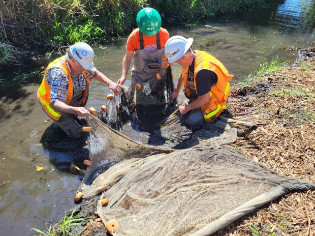 Mountlake Terrace Aquatic Ecosystem Restoration Project