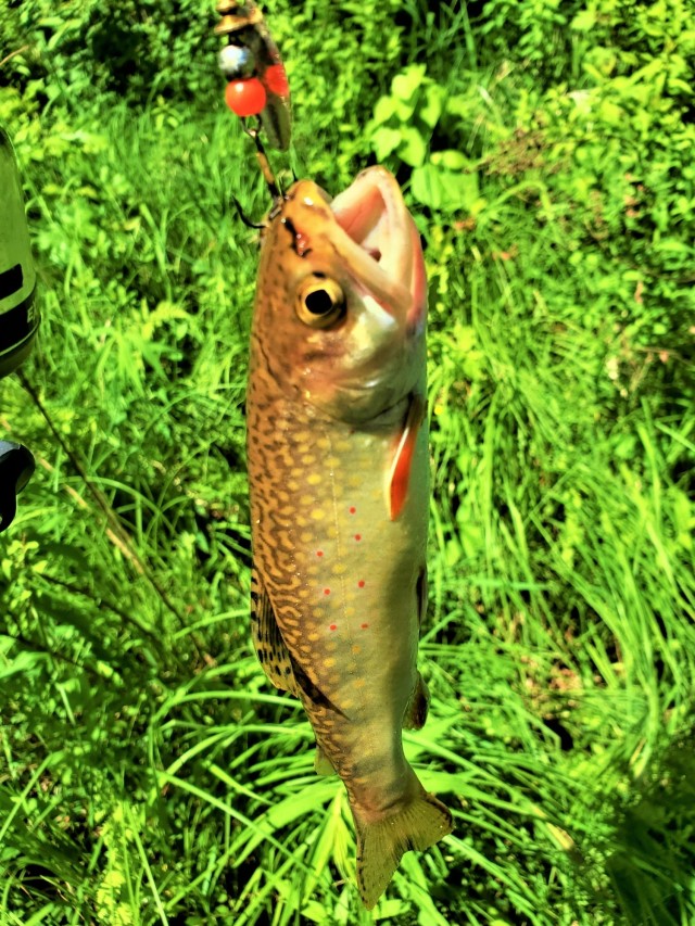 Early catch-and-release trout season in 2024 at Fort McCoy opens Jan. 6