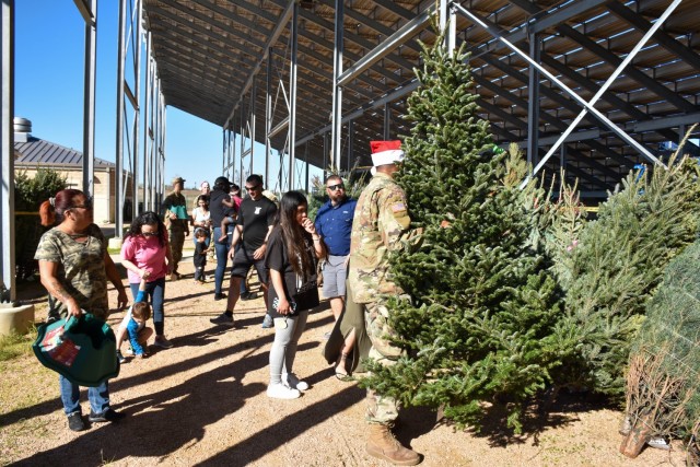 Donned in Santa hats, volunteers from the Fort Cavazos BOSS program help with selecting and loading trees during the Trees for Troops event Dec. 8 at the Phantom Warrior Stadium. (U.S. Army photo by Janecze Wright, Fort Cavazos Public Affairs)