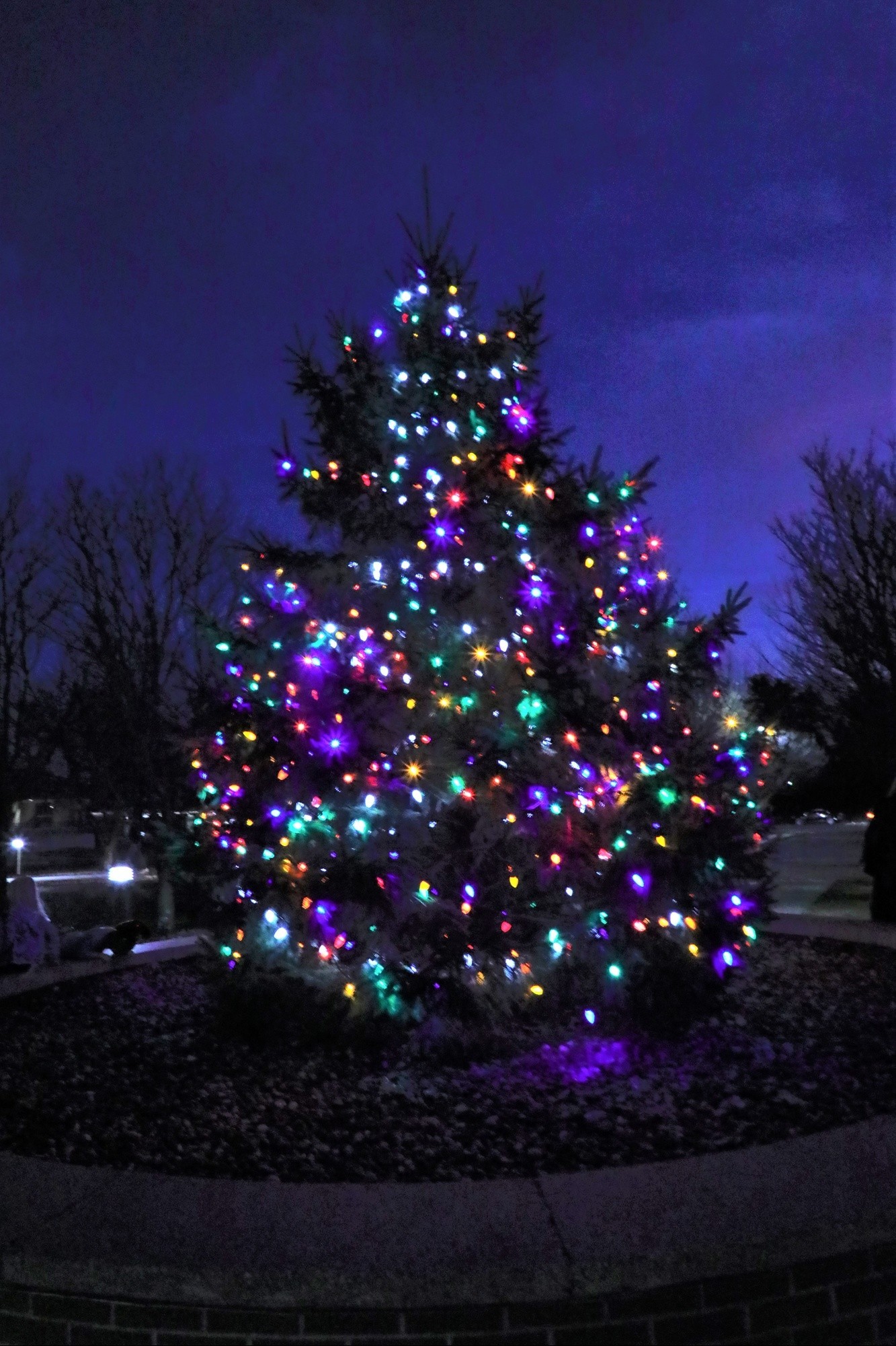 Photo Story: 2023 Fort McCoy Christmas Tree Lighting Ceremony, Part II ...