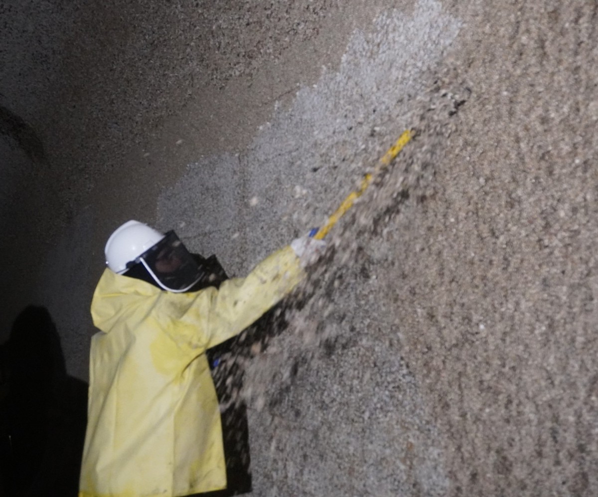 Scraping Barnacles Gives Salmon A Fighting Chance | Article | The ...