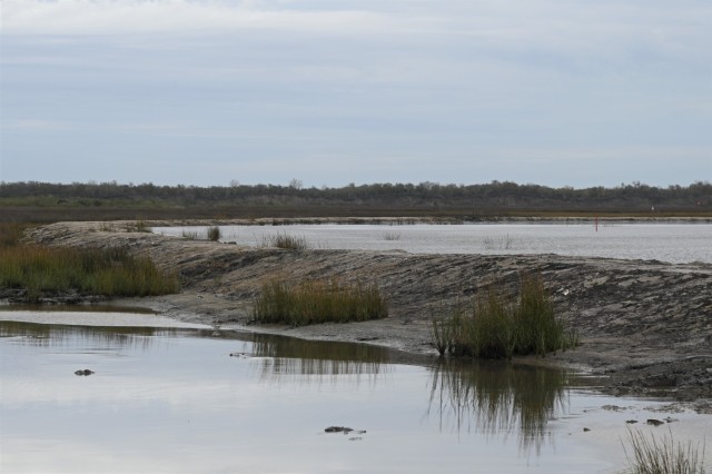 Corps of Engineers works with federal, state agencies to help create new marsh land in Louisiana