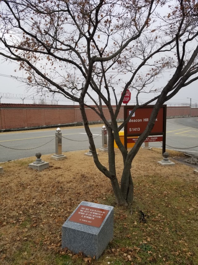 Opinion: Humphreys deserves a roundabout