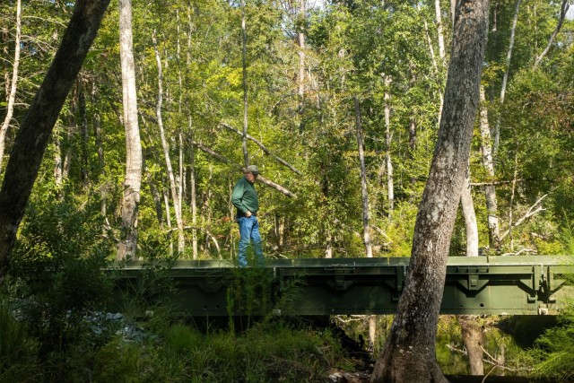 Bridge repurposed by ITAM