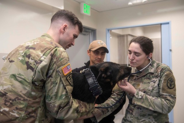 Newest Pacific Veterinary Treatment Facility Enhances Care, Strengthens Partnerships in Japan