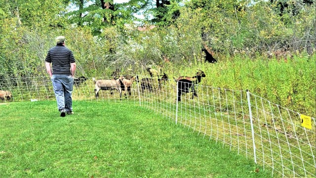 National Invasive Species Awareness Week: Fort McCoy manages extensive effort to control invasive species