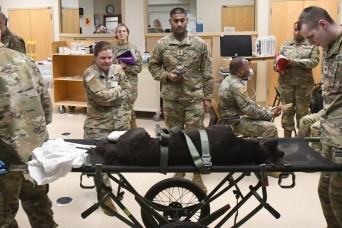 MRTC, RTS-MED Fort McCoy prepares AR-MEDCOM Soldiers for Landstuhl mission