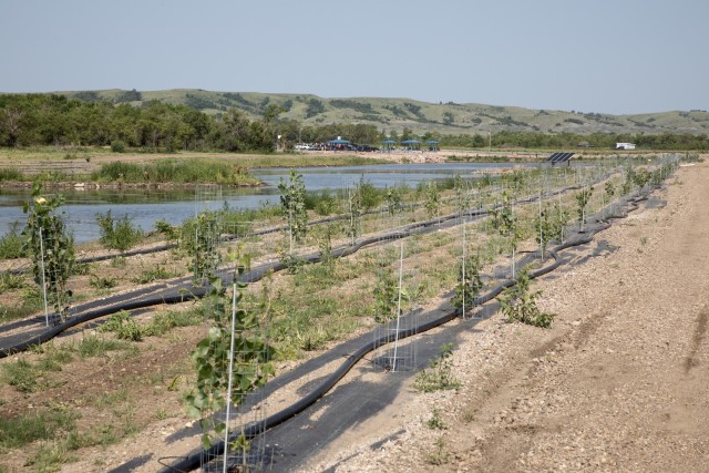 Newly planted trees and shrubs line a trail along a wetland area that was recently constructed as part of the Lower Brule Sioux Tribe natural resources preservation and ecosystem restoration project. The Tribal Partnership Program construction project was recently completed by the U.S. Army Corps of Engineers, and this first to be completed in the Nation.