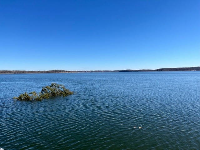 Sunken treasure: Fish Attractor Program at Pomme de Terre Lake benefits environment and recreators alike