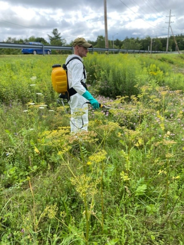 Fort Drum Natural Resources takes “rapid response” approach to harmful invasive species