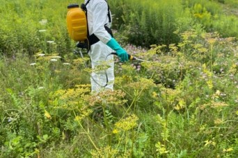 Fort Drum Natural Resources takes “rapid response” approach to harmful invasive species