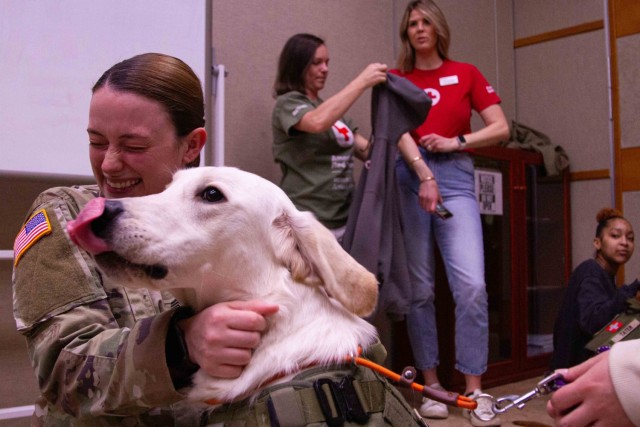 The Animal Visitation Program (AVP) from the American Red Cross Campaign provides therapeutic service dogs to the community March 5 at Camp Casey, South Korea. The AVP is a Red Cross Volunteer program that allows families, communities, military...
