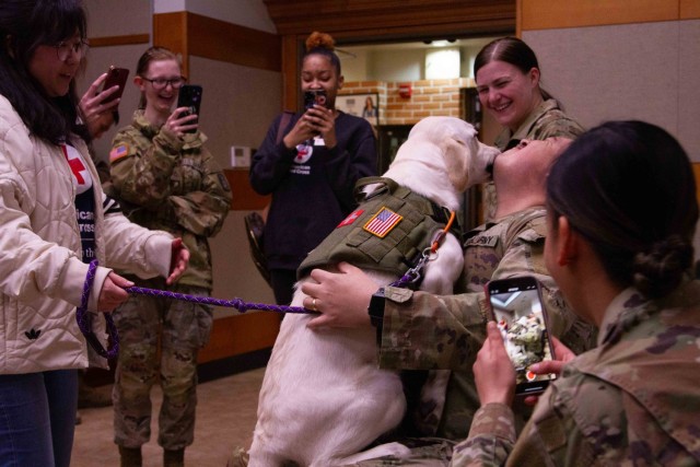 The Animal Visitation Program (AVP) from the American Red Cross Campaign provides therapeutic service dogs to the community March 5 at Camp Casey, South Korea. The AVP is a Red Cross Volunteer program that allows families, communities, military...