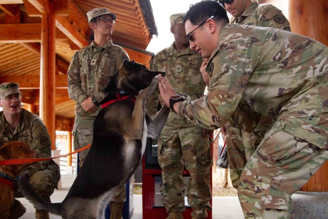 The Animal Visitation Program (AVP) from the American Red Cross Campaign provides therapeutic service dogs to the community March 5 at Camp Casey, South Korea. The AVP is a Red Cross Volunteer program that allows families, communities, military...