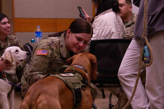 The Animal Visitation Program (AVP) from the American Red Cross Campaign provides therapeutic service dogs to the community March 5 at Camp Casey, South Korea. The AVP is a Red Cross Volunteer program that allows families, communities, military...