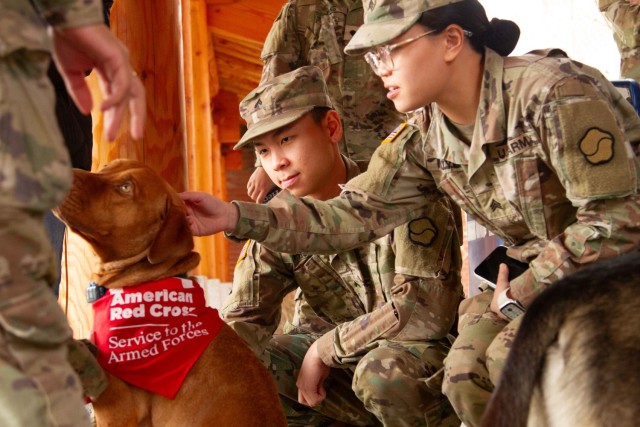 The Animal Visitation Program (AVP) from the American Red Cross Campaign provides therapeutic service dogs to the community March 5 at Camp Casey, South Korea. The AVP is a Red Cross Volunteer program that allows families, communities, military...