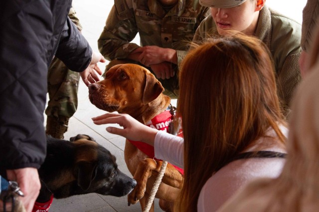 The Animal Visitation Program (AVP) from the American Red Cross Campaign provides therapeutic service dogs to the community Mar. 6 at Camp Casey, South Korea. The AVP is a Red Cross Volunteer program that allows families, communities, military...
